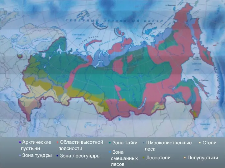 Арктические пустыни Зона тундры Области высотной поясности Зона тайги Зона