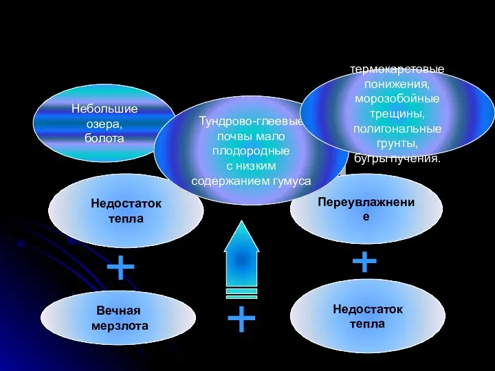 Почва Вечная мерзлота Недостаток тепла Недостаток тепла Переувлажнение Небольшие озера,