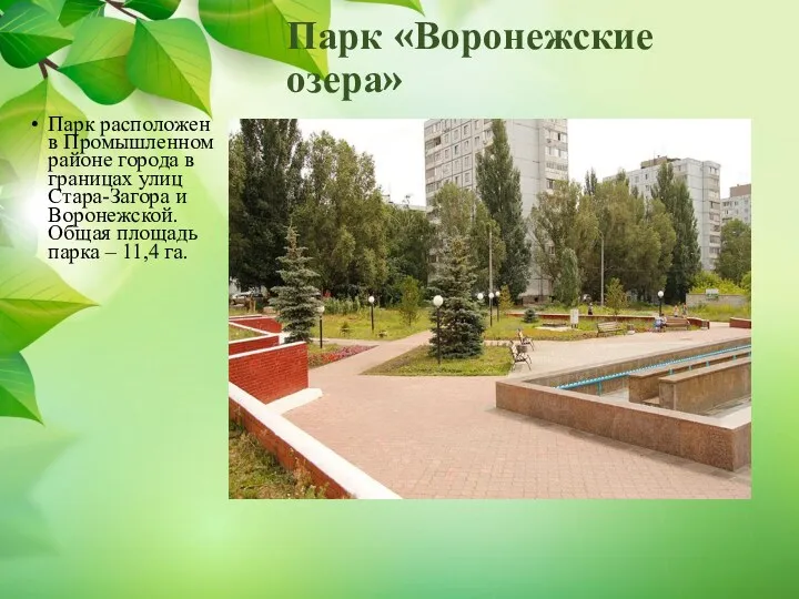 Парк «Воронежские озера» Парк расположен в Промышленном районе города в