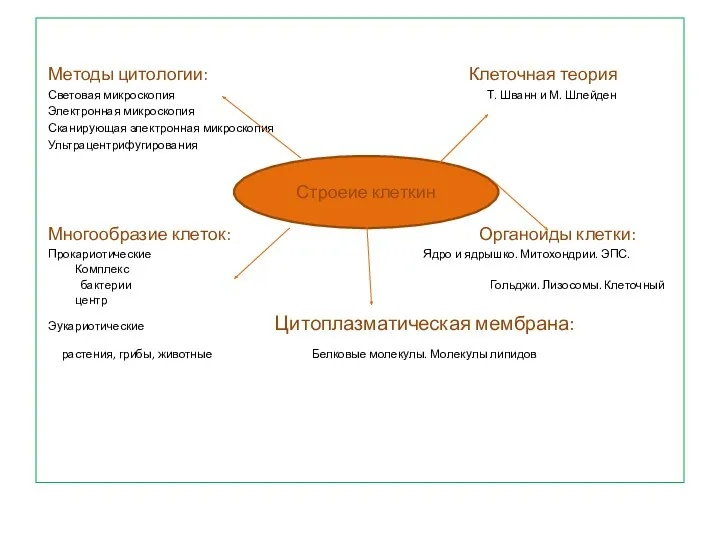 Методы цитологии: Клеточная теория Световая микроскопия Т. Шванн и М.