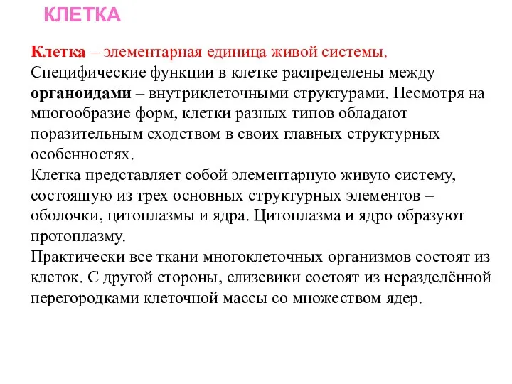 КЛЕТКА Клетка – элементарная единица живой системы. Специфические функции в