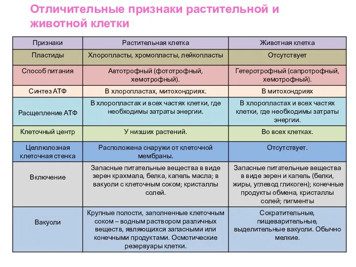 Отличительные признаки растительной и животной клетки