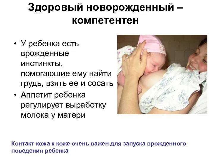 Здоровый новорожденный – компетентен У ребенка есть врожденные инстинкты, помогающие ему найти грудь,