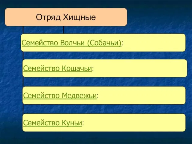 Отряд Хищные Семейство Волчьи (Собачьи): Семейство Кошачьи: Семейство Медвежьи: Семейство Куньи: