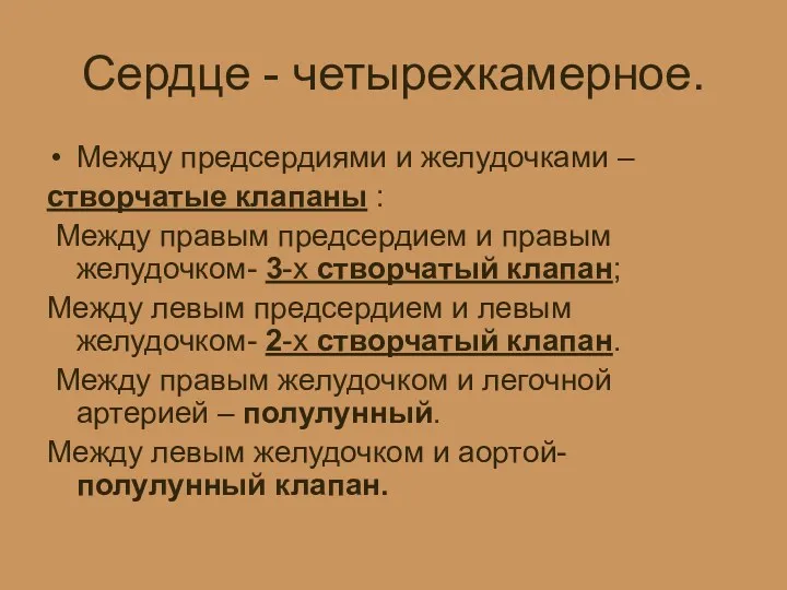 Сердце - четырехкамерное. Между предсердиями и желудочками – створчатые клапаны