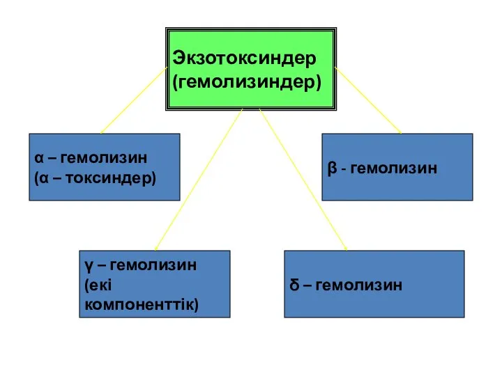 Экзотоксиндер (гемолизиндер) γ – гемолизин (екі компоненттік) α – гемолизин (α – токсиндер)