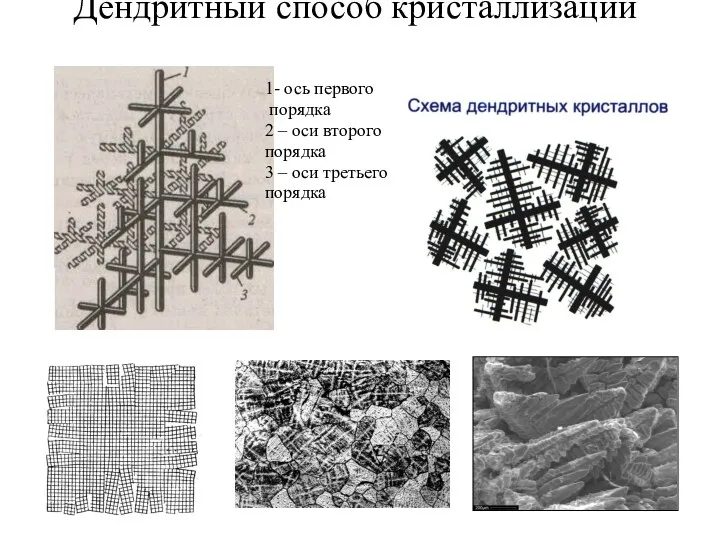 Дендритный способ кристаллизации 1- ось первого порядка 2 – оси второго порядка 3