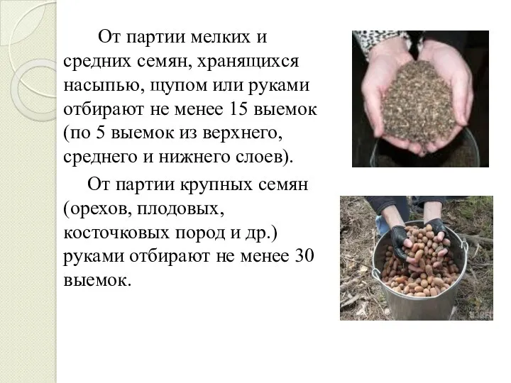 От партии мелких и средних семян, хранящихся насыпью, щупом или