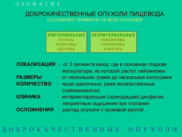 ДОБРОКАЧЕСТВЕННЫЕ ОПУХОЛИ ПИЩЕВОДА СОСТАВЛЯЮТ ПРИМЕРНО 1% ВСЕХ ОПУХОЛЕЙ ЛОКАЛИЗАЦИЯ -