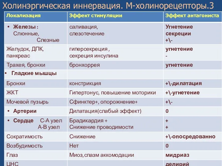 Холинэргическая иннервация. М-холинорецепторы.3