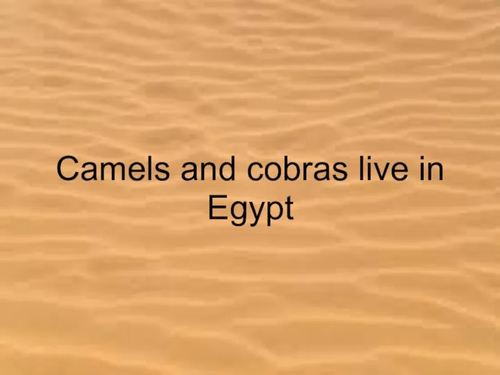 Camels and cobras live in Egypt