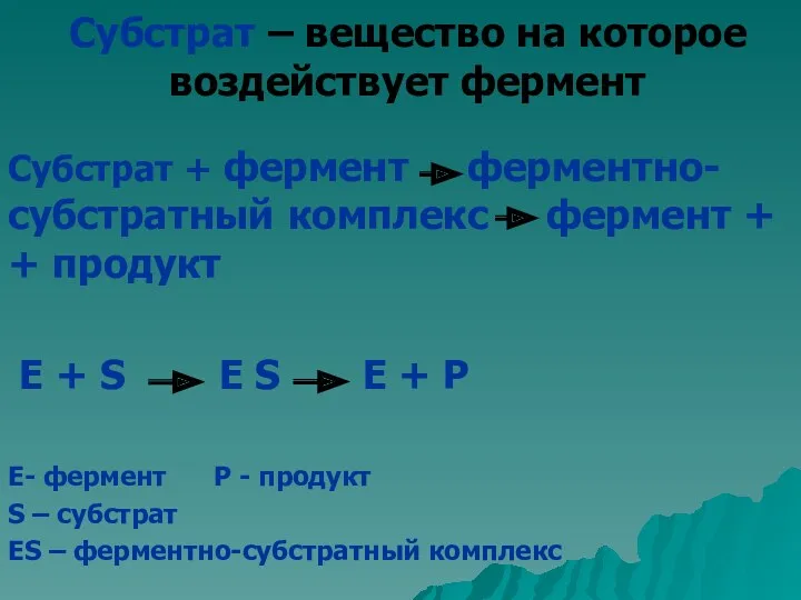 Субстрат – вещество на которое воздействует фермент Субстрат + фермент