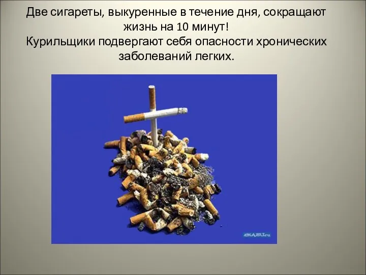 Две сигареты, выкуренные в течение дня, сокращают жизнь на 10