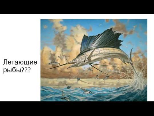 Летающие рыбы???