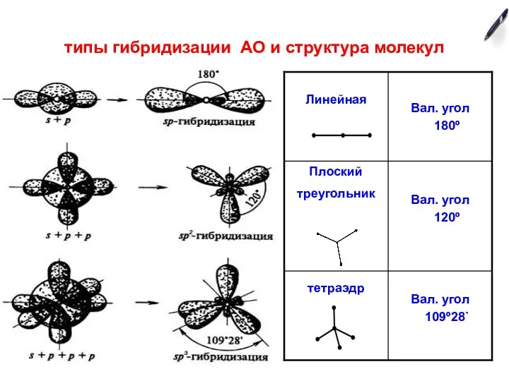 типы гибридизации АО и структура молекул