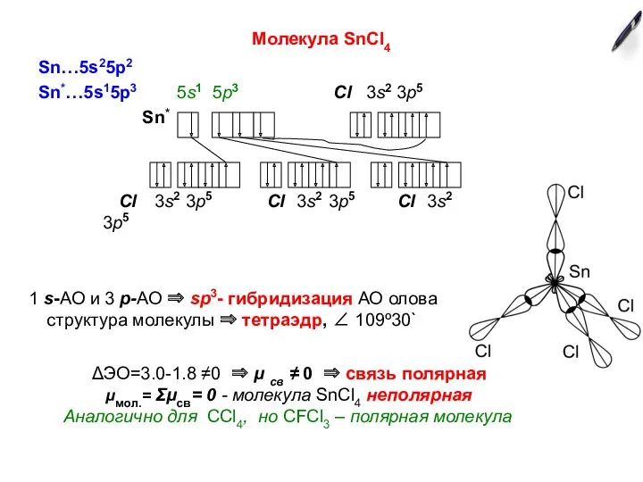 Молекула SnCl4 Sn…5s25p2 Sn*…5s15p3 5s1 5p3 Cl 3s2 3p5 Sn*