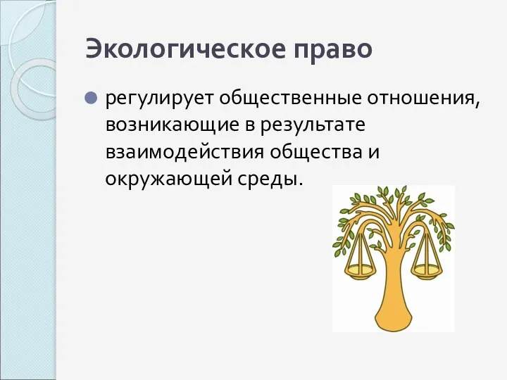 Экологическое право регулирует общественные отношения, возникающие в результате взаимодействия общества и окружающей среды.