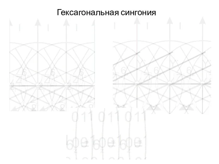 Гексагональная сингония