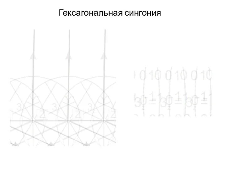 Гексагональная сингония