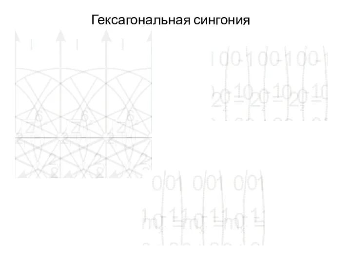 Гексагональная сингония