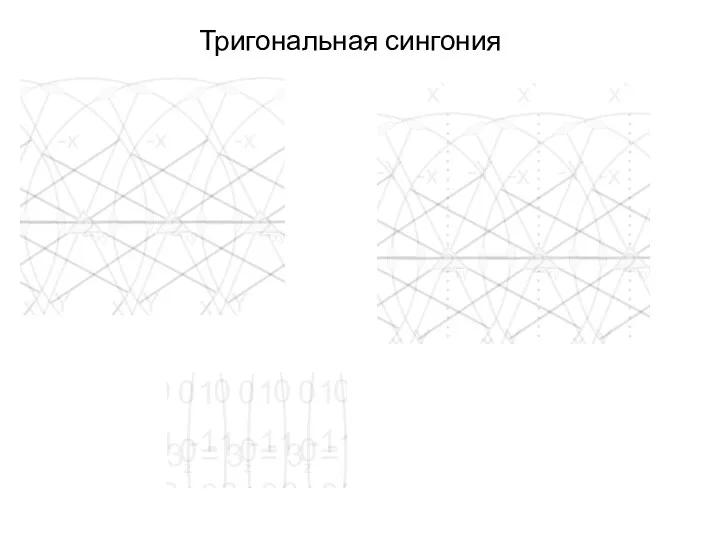 Тригональная сингония