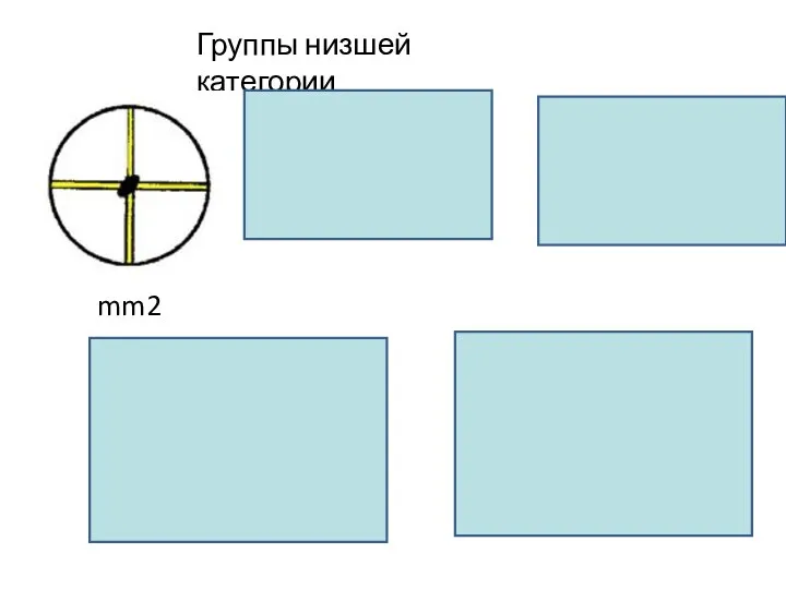 Группы низшей категории mm2 1 =