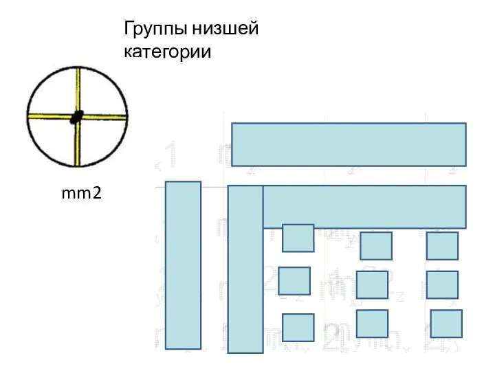 Группы низшей категории mm2