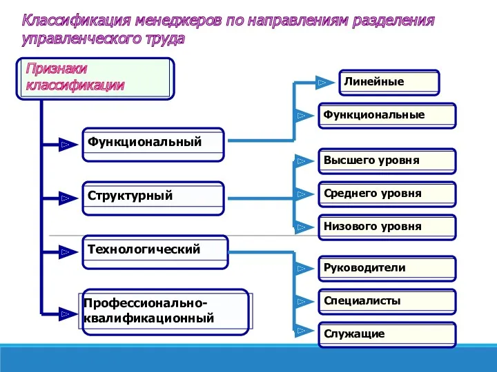 Классификация менеджеров по направлениям разделения управленческого труда