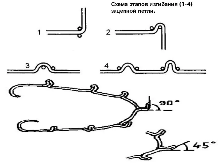 Схема этапов изгибания (1-4) зацепной петли.