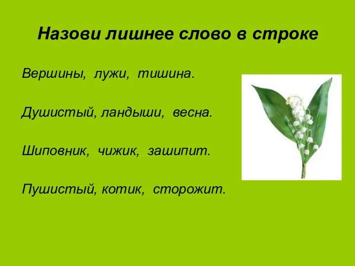 Назови лишнее слово в строке Вершины, лужи, тишина. Душистый, ландыши,