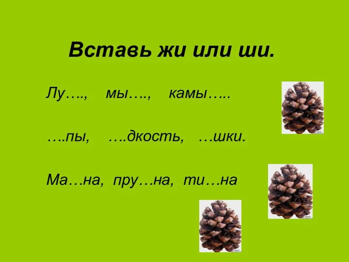 Вставь жи или ши. Лу…., мы…., камы….. ….пы, ….дкость, …шки. Ма…на, пру…на, ти…на