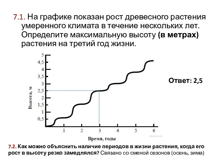 7.1. На графике показан рост древесного растения умеренного климата в