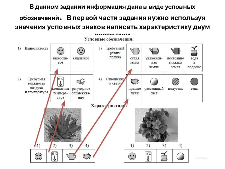 В данном задании информация дана в виде условных обозначений. В