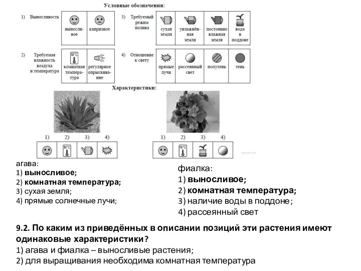 агава: 1) выносливое; 2) комнатная температура; 3) сухая земля; 4)