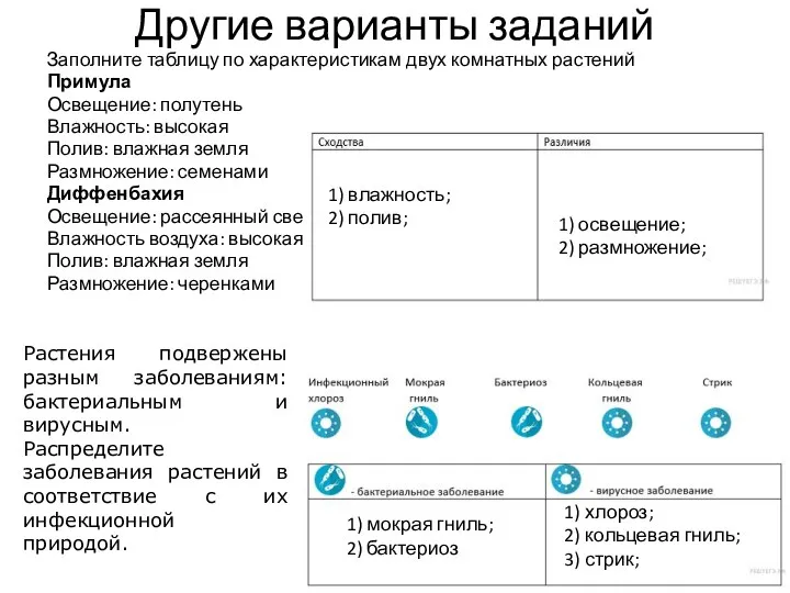 Другие варианты заданий Заполните таблицу по характеристикам двух комнатных растений