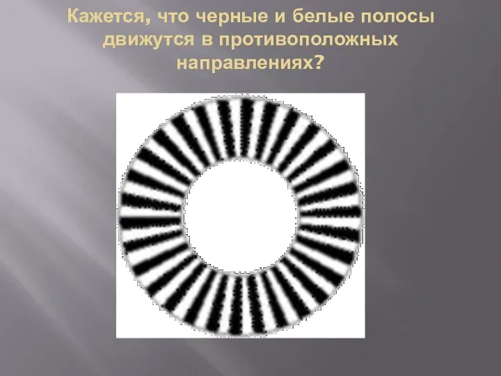 Кажется, что черные и белые полосы движутся в противоположных направлениях?