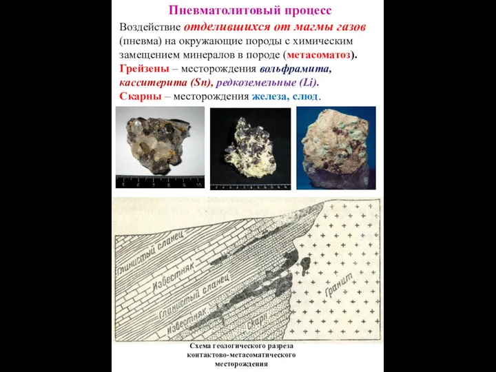 Схема геологического разреза контактово-метасоматического месторождения Пневматолитовый процесс Воздействие отделившихся от