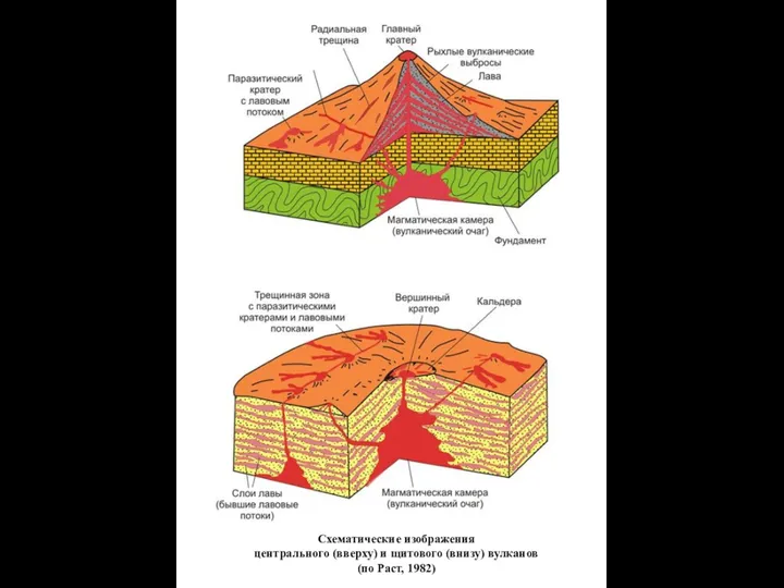 Схематические изображения центрального (вверху) и щитового (внизу) вулканов (по Раст, 1982)