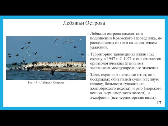 Лебяжьи Острова Лебяжьи острова находятся в подчинении Крымского заповедника, но