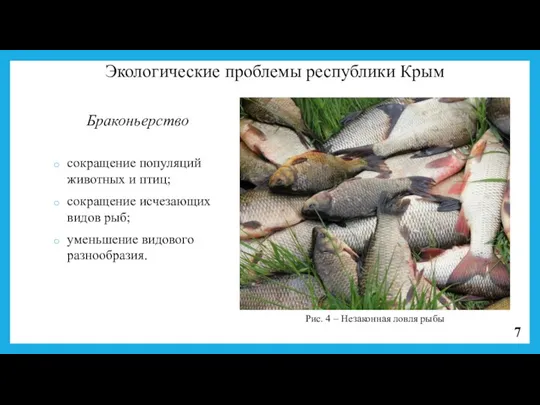 Браконьерство сокращение популяций животных и птиц; сокращение исчезающих видов рыб;