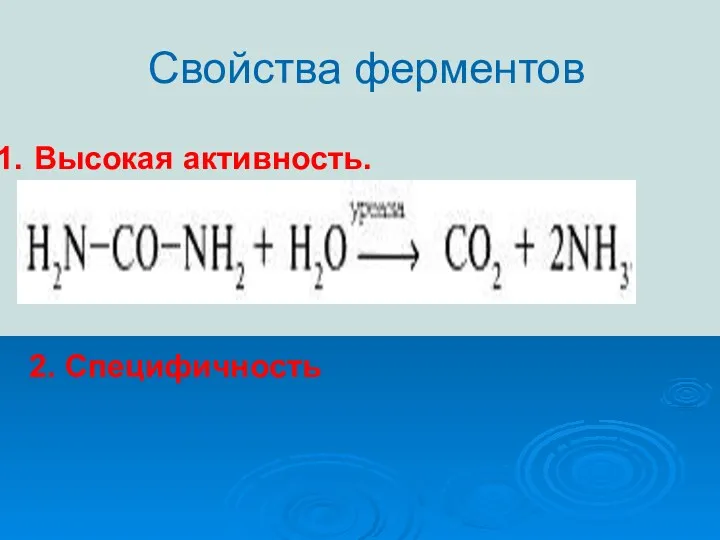 Свойства ферментов Высокая активность. 2. Специфичность