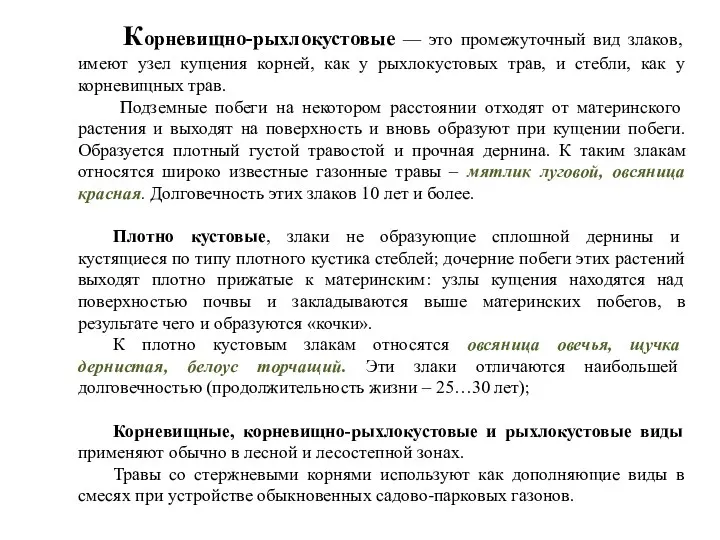 Корневищно-рыхлокустовые — это промежуточный вид злаков, имеют узел кущения корней,