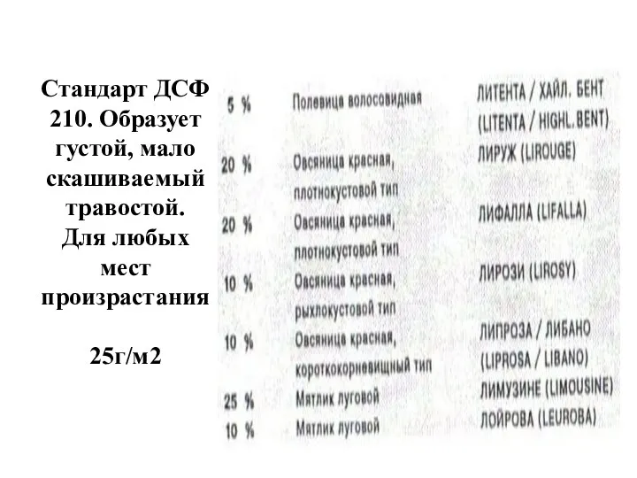 Стандарт ДСФ 210. Образует густой, мало скашиваемый травостой. Для любых мест произрастания 25г/м2