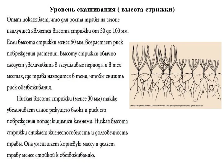 Уровень скашивания ( высота стрижки)