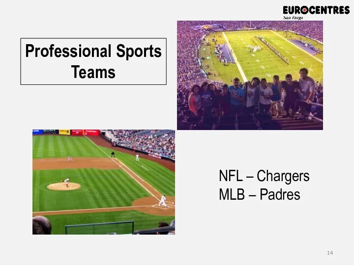 Professional Sports Teams NFL – Chargers MLB – Padres