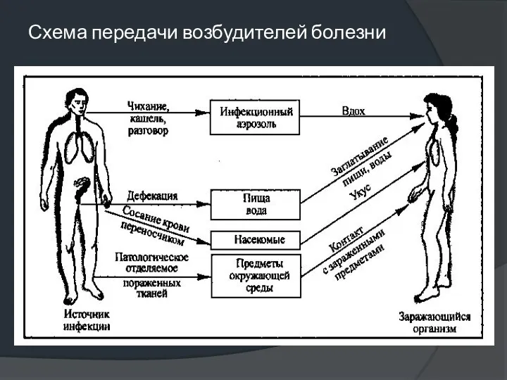 Схема передачи возбудителей болезни