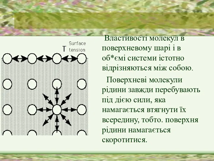 Властивості молекул в поверхневому шарі і в об*ємі системи істотно