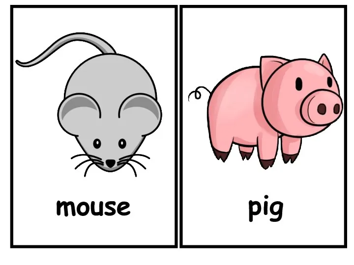 mouse pig