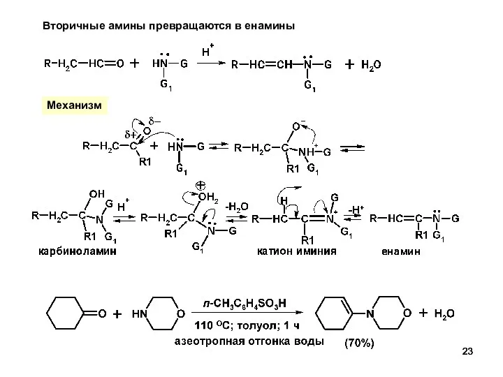 Вторичные амины превращаются в енамины Механизм