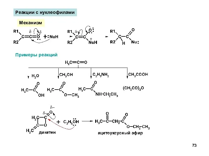 Реакции с нуклеофилами Механизм Примеры реакций